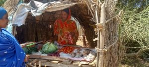 Read more about the article From Small Savings to Sustainable Success: The Journey of Aisha Ahmednoor